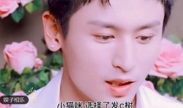 热点黑料视频 独家爆料网免费爆料,热点黑料视频免费爆料，网曝真相大起底