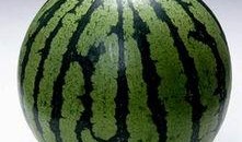 今日吃瓜的图片素材,揭秘娱乐圈最新热点事件